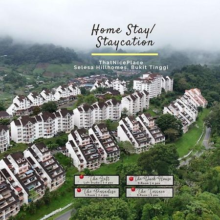 Thatniceplace In Selesa Hillhome, Bukit Tinggi, Bentong, Genting Buitenkant foto