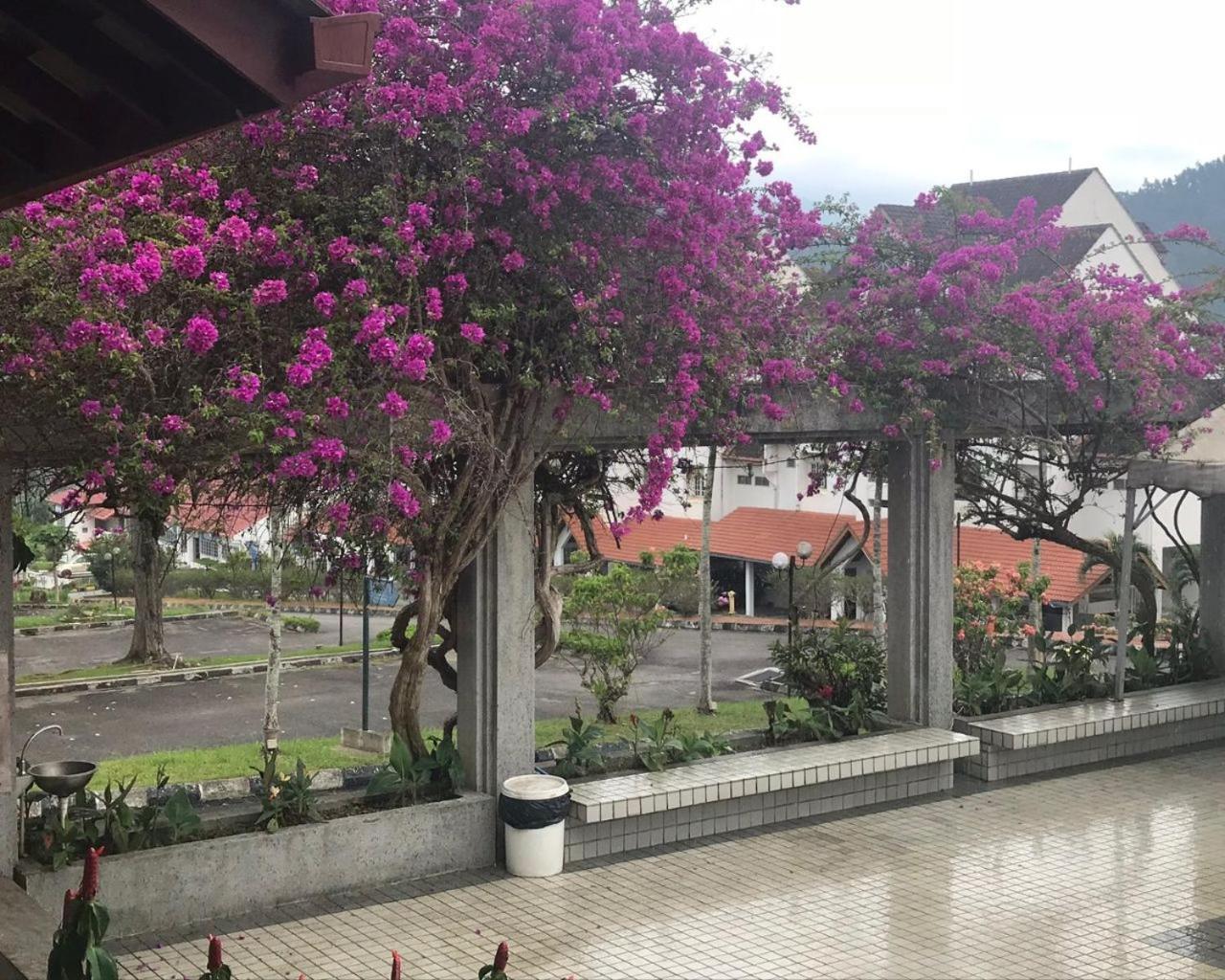Thatniceplace In Selesa Hillhome, Bukit Tinggi, Bentong, Genting Buitenkant foto